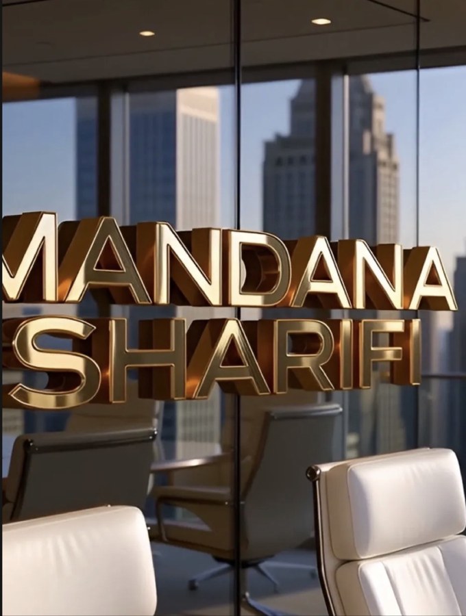 MANDANA INTERNATIONAL